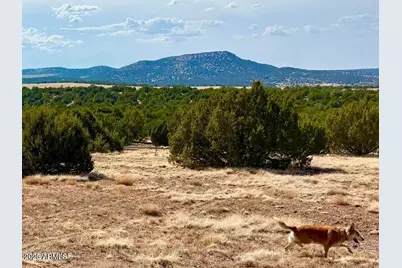 Tbd Co Rd N3109 9.11 Acres -- #-, Vernon, AZ 85940 - Photo 17