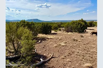 Tbd Co Rd N3109 9.11 Acres -- #-, Vernon, AZ 85940 - Photo 29