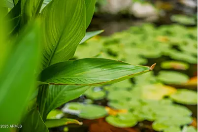 3034 E Stella Lane, Phoenix, AZ 85016 - Photo 67