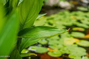 3034 E Stella Ln, Phoenix, AZ 85016 - Photo 67