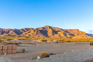 4755 S Pura Vida Way, Gold Canyon, AZ 85118 - Photo 41