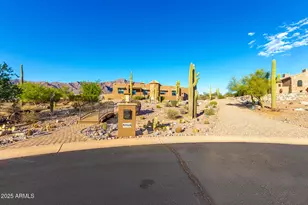 4755 S Pura Vida Way, Gold Canyon, AZ 85118 - Photo 49