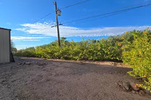 5660 E Calle Mirage, Apache Junction, AZ 85119 - Photo 33