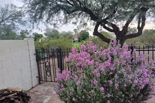 4932 E Monte Way, Phoenix, AZ 85044 - Photo 1