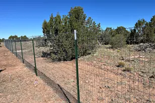 613 Mountain Cat Rd, Williams, AZ 86046 - Photo 7