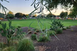 14400 W Bloomfield Rd, Surprise, AZ 85379 - Photo 25