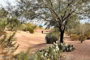 4520 E Mossman Rd, Phoenix, AZ 85050 - Photo 59