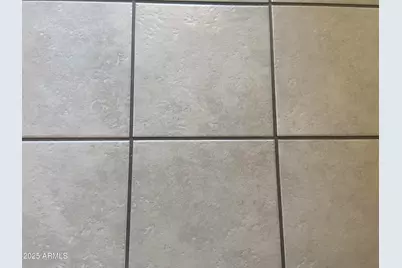 1363 W Chesapeake Drive, Apache Junction, AZ 85119 - Photo 17