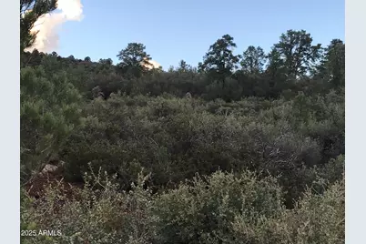 00000 W Buckhorn - V Drive #-, Peeples Valley, AZ 86332 - Photo 5