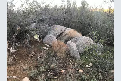 00000 W Buckhorn - W Drive #-, Peeples Valley, AZ 86332 - Photo 5
