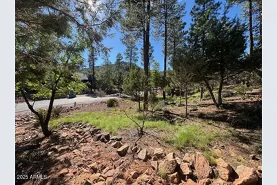 Lot 33 W Sage Court #33, Pine, AZ 85544 - Photo 3