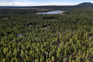 --- N --- Dr, Lakeside, AZ 85929 - Photo 1