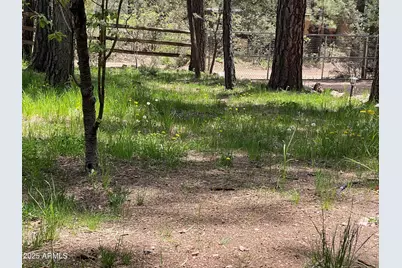 292 S Morris Mdws --, Payson, AZ 85541 - Photo 59