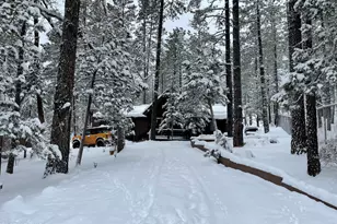 292 S Morris Mdws --, Payson, AZ 85541 - Photo 61