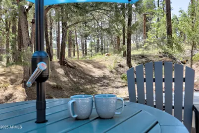 292 S Morris Mdws --, Payson, AZ 85541 - Photo 13