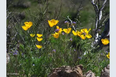 56550 Rancho Casitas Road, Wickenburg, AZ 85390 - Photo 77