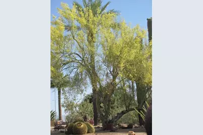 56550 Rancho Casitas Road, Wickenburg, AZ 85390 - Photo 79