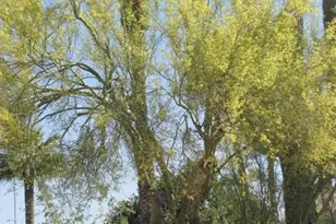 56550 Rancho Casitas Rd, Wickenburg, AZ 85390 - Photo 79