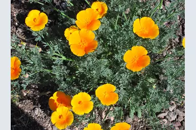 56550 Rancho Casitas Road, Wickenburg, AZ 85390 - Photo 59