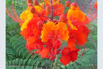 56550 Rancho Casitas Road, Wickenburg, AZ 85390 - Photo 65