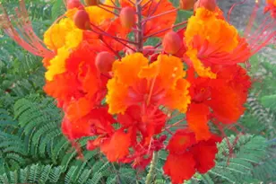 56550 Rancho Casitas Rd, Wickenburg, AZ 85390 - Photo 65