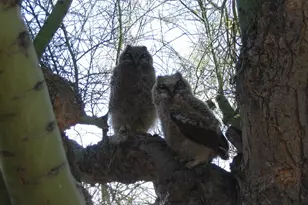 56550 Rancho Casitas Rd, Wickenburg, AZ 85390 - Photo 73