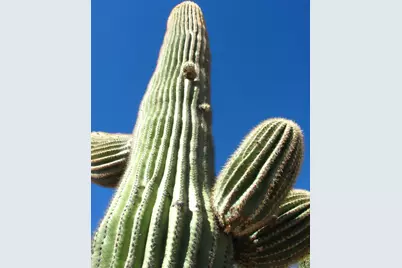 56550 Rancho Casitas Road, Wickenburg, AZ 85390 - Photo 81