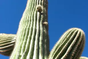 56550 Rancho Casitas Rd, Wickenburg, AZ 85390 - Photo 81