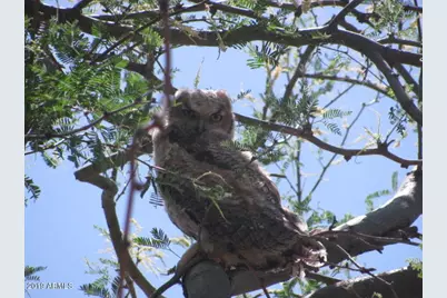 56550 Rancho Casitas Road, Wickenburg, AZ 85390 - Photo 47