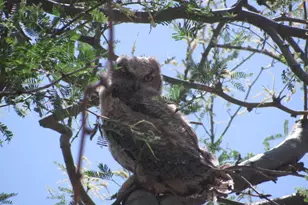 56550 Rancho Casitas Rd, Wickenburg, AZ 85390 - Photo 47