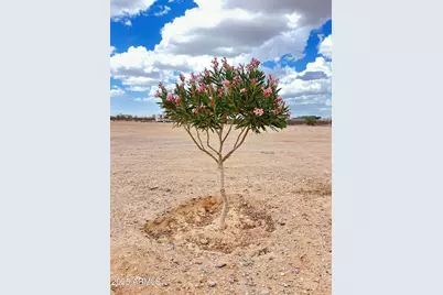 000 S 355th Avenue #1, Tonopah, AZ 85354 - Photo 1
