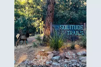 5579 W Solitude Trails Loop, Pine, AZ 85544 - Photo 47