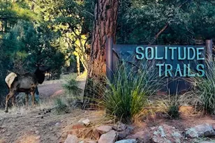 5579 W Solitude Trails Loop, Pine, AZ 85544 - Photo 47