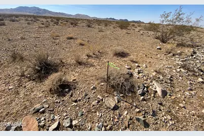 Xxxxx N Phillip (Lot 354) Road #354, Dolan Springs, AZ 86441 - Photo 17