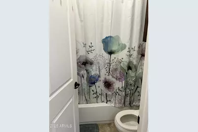 3007 S 271st Lane, Buckeye, AZ 85326 - Photo 29