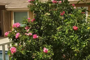 3967 E Bruce Ave, Gilbert, AZ 85234 - Photo 11