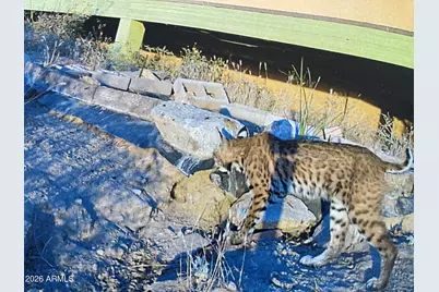 5975 W Aurora Hills Road, Morristown, AZ 85342 - Photo 29