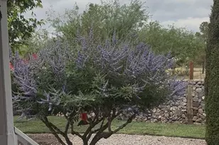 30 Sunset Ln, Elgin, AZ 85611 - Photo 33