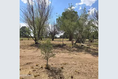 45985 N Az Hwy 288 --, Young, AZ 85554 - Photo 67