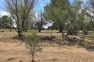 45985 N Az Hwy 288 --, Young, AZ 85554 - Photo 67