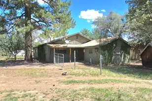 45985 N Az Hwy 288 --, Young, AZ 85554 - Photo 53