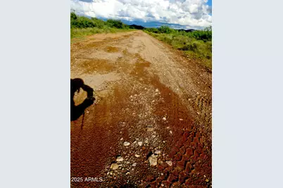 Tbd W Austin Henely Road #9, Elfrida, AZ 85610 - Photo 13