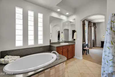 246 N Aleppo Court, Litchfield Park, AZ 85340 - Photo 45