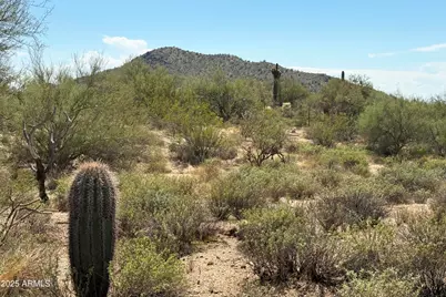 31815 N Black Cross Road #28, Scottsdale, AZ 85266 - Photo 5