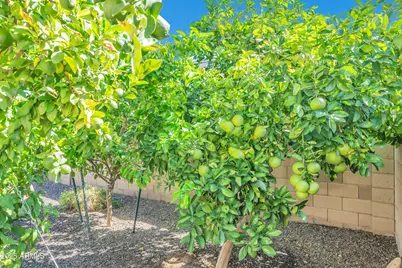 9364 W Cashman Drive, Peoria, AZ 85383 - Photo 43