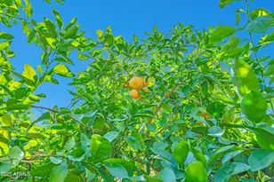 9364 W Cashman Dr, Peoria, AZ 85383 - Photo 47