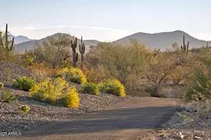 2121 W Sonoran Desert Dr, Phoenix, AZ 85085 - Photo 61