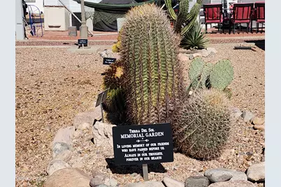 506 E Fiesta Del Sol -- #32, Florence, AZ 85132 - Photo 41