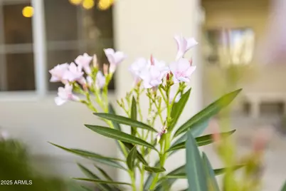 11333 N 92nd Street #1047, Scottsdale, AZ 85260 - Photo 29