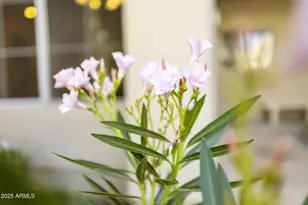 11333 N 92nd St, Scottsdale, AZ 85260 - Photo 41